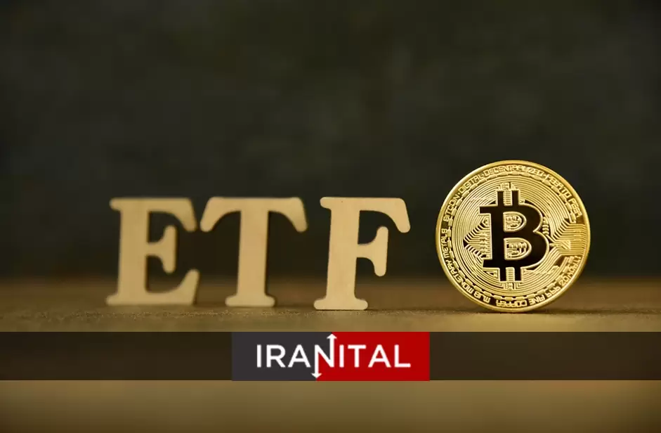 مدیرعامل گری‌اسکیل: راه اندازی ETF کوتاه مدت بیت کوین، نشانه‌ای مثبت برای صنعت دیجیتال است