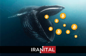 نهنگ‌های بیت کوین بیست هزار واحد از این ارز دیجیتال را خریده‌اند
