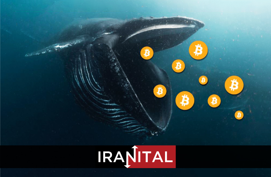 نهنگ‌های بیت کوین بیست هزار واحد از این ارز دیجیتال را خریده‌اند